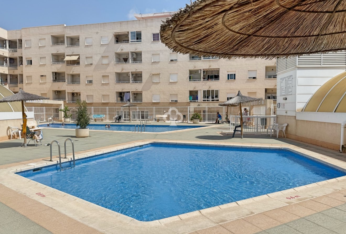 Jälleenmyynti - Asunto / huoneisto -
Torrevieja - Centro