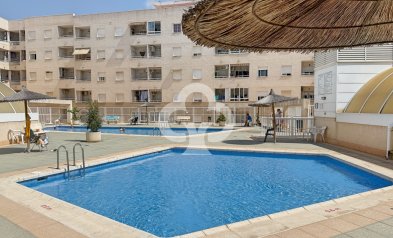Jälleenmyynti - Asunto / huoneisto -
Torrevieja - Centro