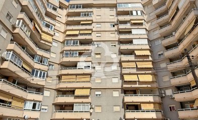 Jälleenmyynti - Asunto / huoneisto -
Torrevieja - Centro