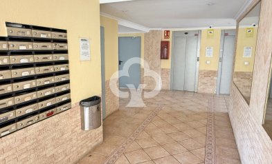 Jälleenmyynti - Asunto / huoneisto -
Torrevieja - Centro