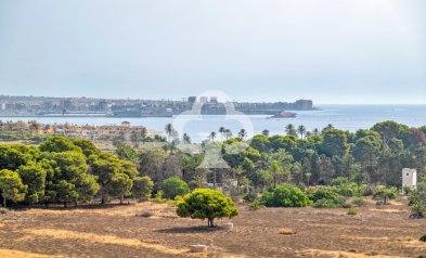 Jälleenmyynti - Apartment -
Torrevieja - Punta Prima