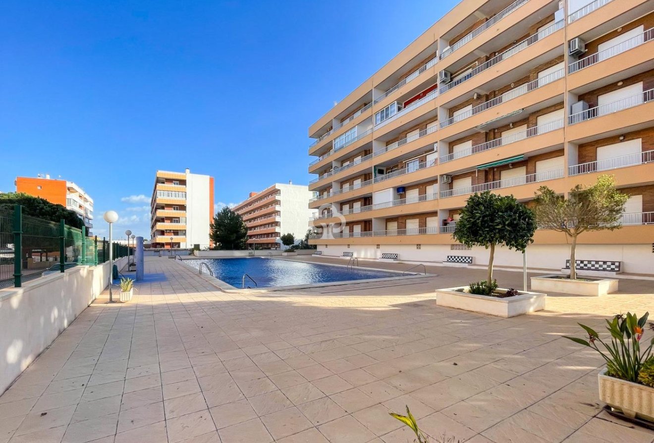 Jälleenmyynti - Apartment -
Torrevieja - Punta Prima