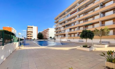 Jälleenmyynti - Apartment -
Torrevieja - Punta Prima