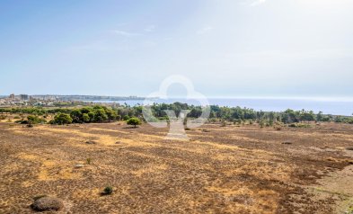 Jälleenmyynti - Apartment -
Torrevieja - Punta Prima