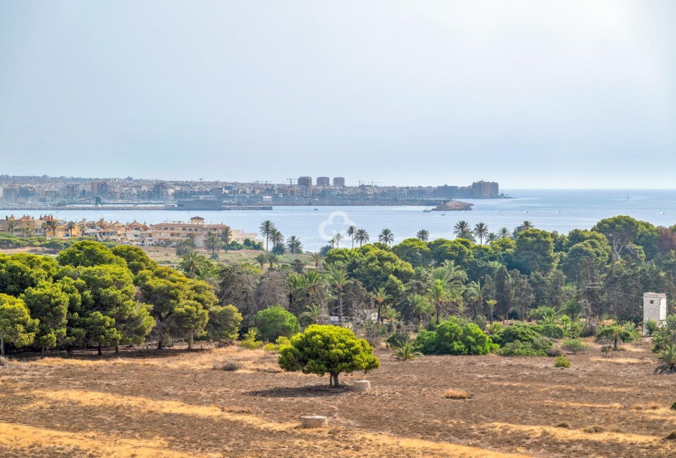 Jälleenmyynti - Apartment -
Torrevieja - Punta Prima