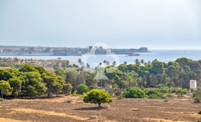 Jälleenmyynti - Apartment -
Torrevieja - Punta Prima