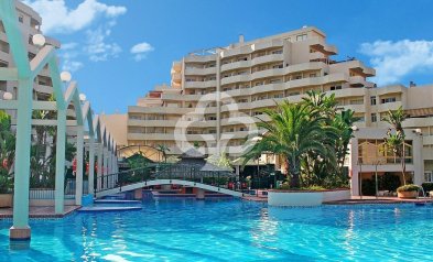 Jälleenmyynti - Yksiö -
Benalmádena - Parque de la Paloma