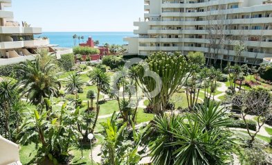 Jälleenmyynti - Yksiö -
Benalmádena - Parque de la Paloma
