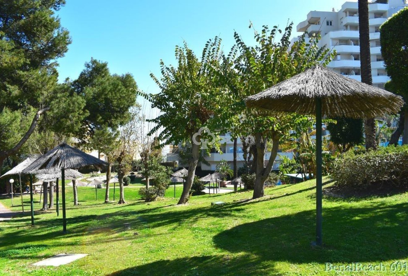 Jälleenmyynti - Yksiö -
Benalmádena - Parque de la Paloma