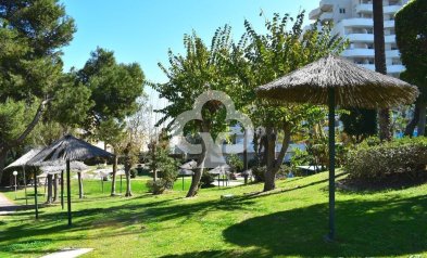 Jälleenmyynti - Yksiö -
Benalmádena - Parque de la Paloma