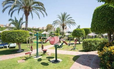 Jälleenmyynti - Yksiö -
Benalmádena - Parque de la Paloma