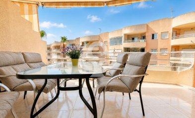 Reventa - Apartment -
Dehesa de campoamor - Campoamor
