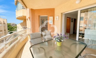 Reventa - Apartment -
Dehesa de campoamor - Campoamor