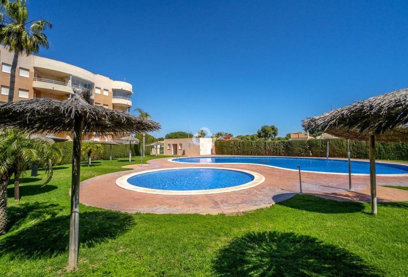 Reventa - Apartment -
Dehesa de campoamor - Campoamor