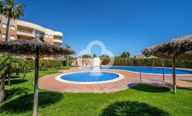 Reventa - Apartment -
Dehesa de campoamor - Campoamor