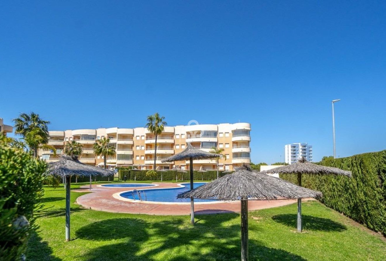 Reventa - Apartment -
Dehesa de campoamor - Campoamor
