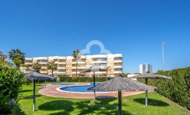 Reventa - Apartment -
Dehesa de campoamor - Campoamor