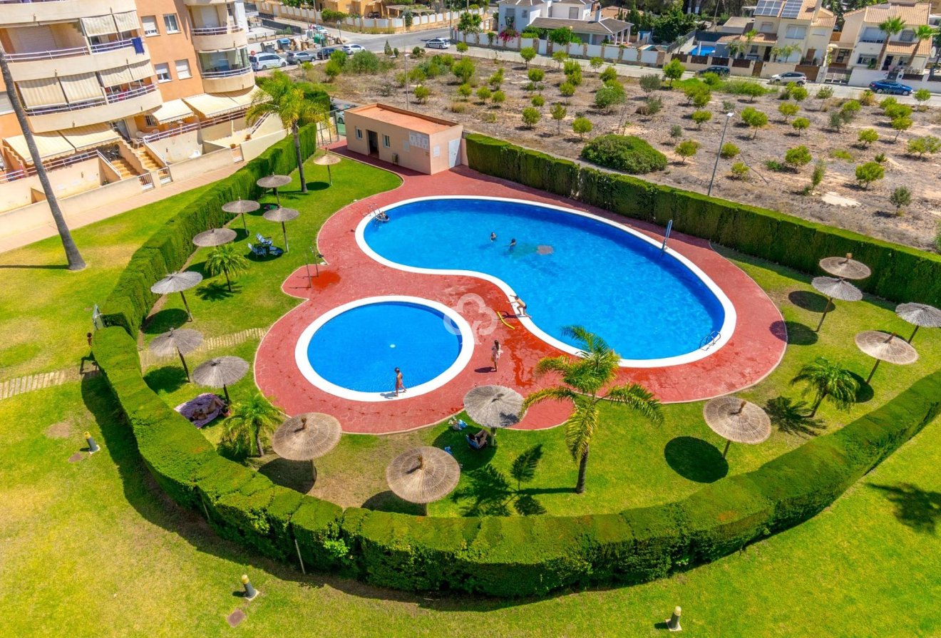 Reventa - Apartment -
Dehesa de campoamor - Campoamor
