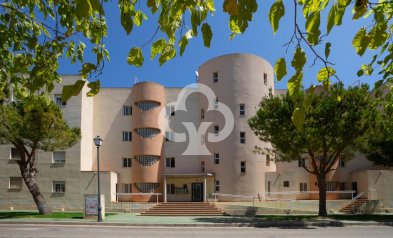 Reventa - Apartment -
Dehesa de campoamor - Campoamor