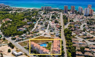 Reventa - Apartment -
Dehesa de campoamor - Campoamor