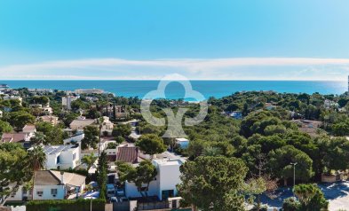 Wiederverkauf - Apartment -
Dehesa de campoamor - Campoamor