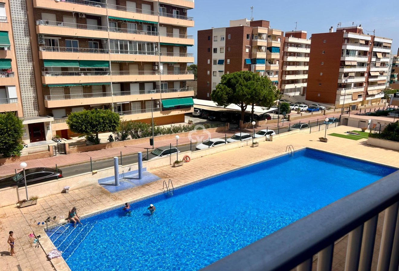 Jälleenmyynti - Apartment -
Torrevieja - Punta Prima