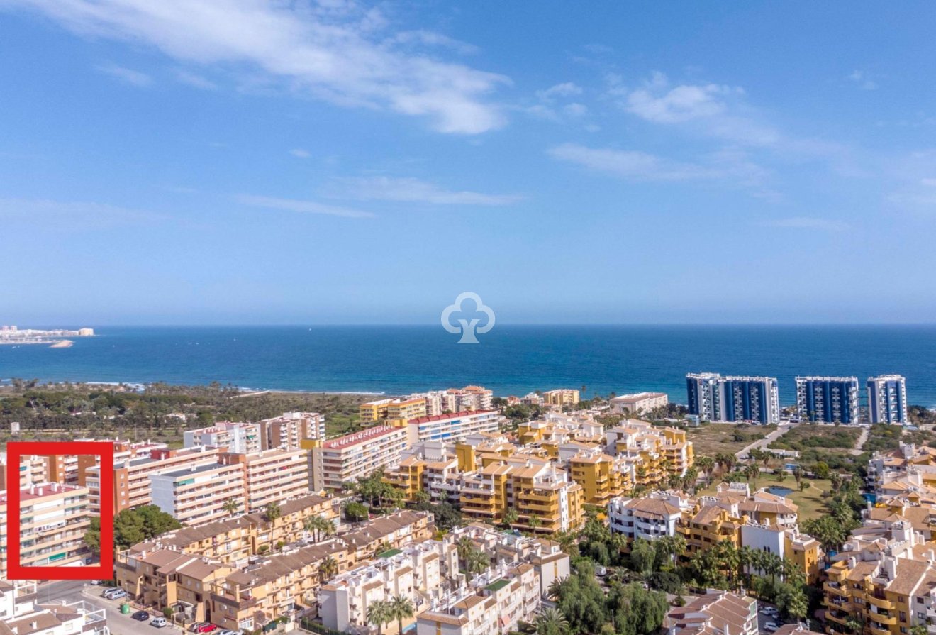Jälleenmyynti - Apartment -
Torrevieja - Punta Prima