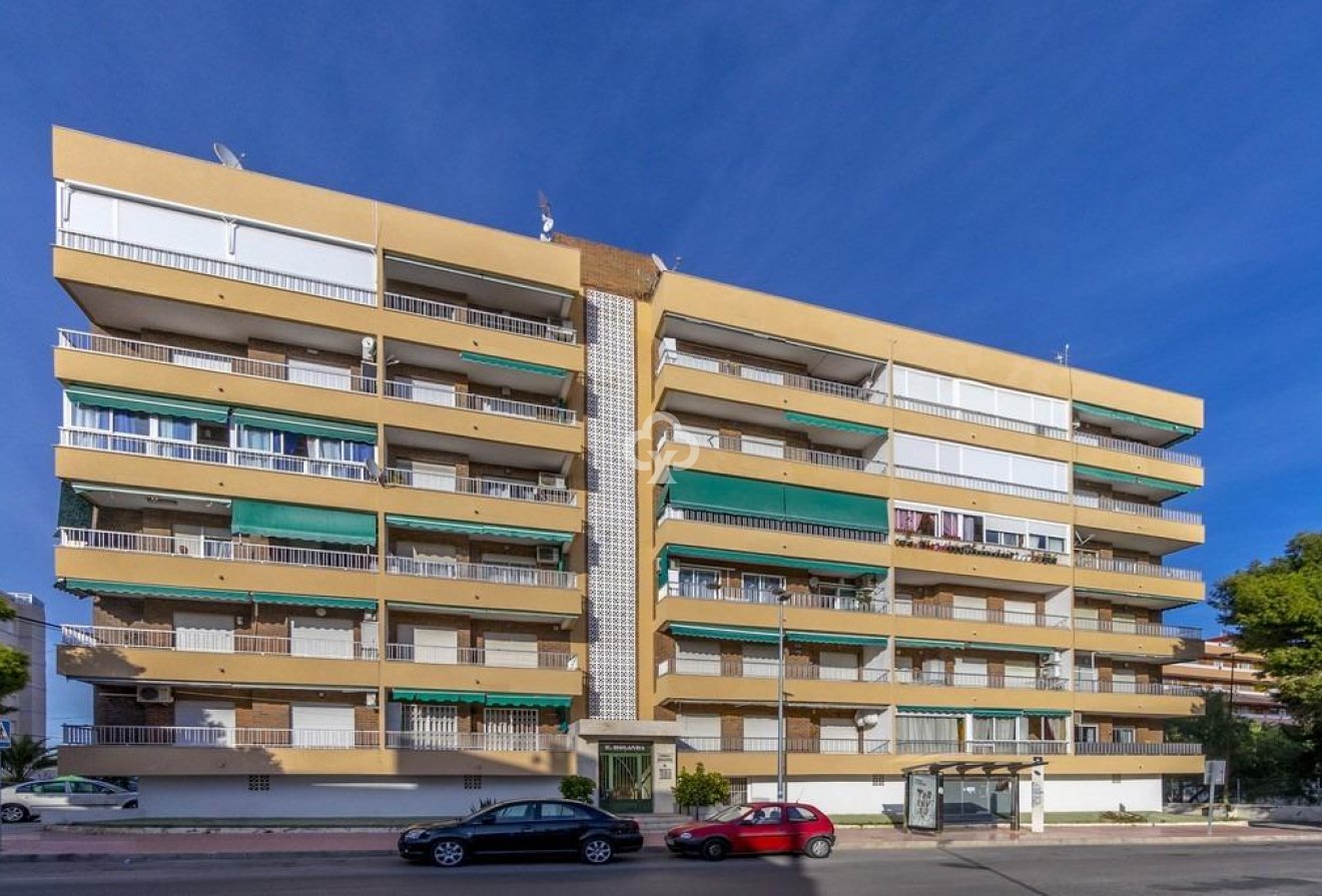 Jälleenmyynti - Apartment -
Torrevieja - Punta Prima