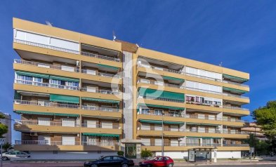 Jälleenmyynti - Apartment -
Torrevieja - Punta Prima