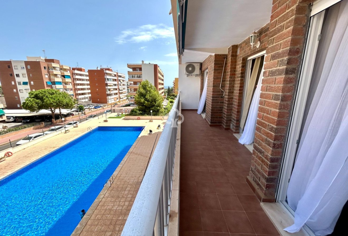 Jälleenmyynti - Apartment -
Torrevieja - Punta Prima