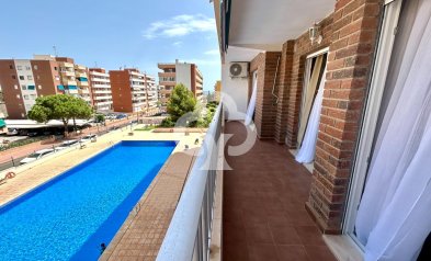 Jälleenmyynti - Apartment -
Torrevieja - Punta Prima