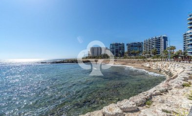 Jälleenmyynti - Apartment -
Torrevieja - Punta Prima