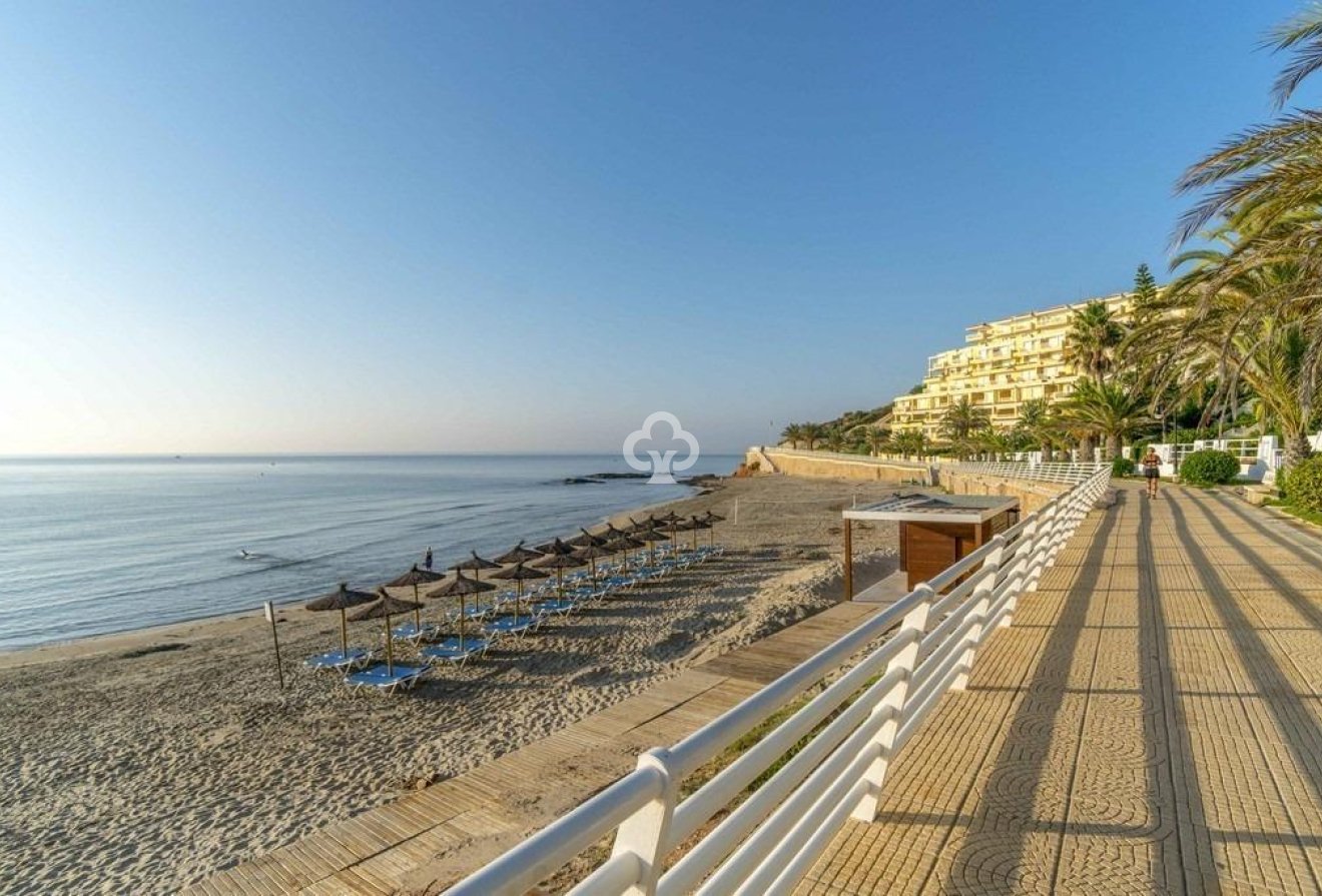 Wiederverkauf - Terraced house -
Dehesa de campoamor - Campoamor