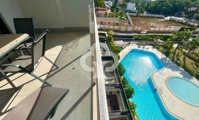 Wiederverkauf - Apartment -
Dehesa de campoamor - Campoamor