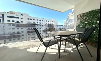 Wiederverkauf - Apartment -
Dehesa de campoamor - Campoamor