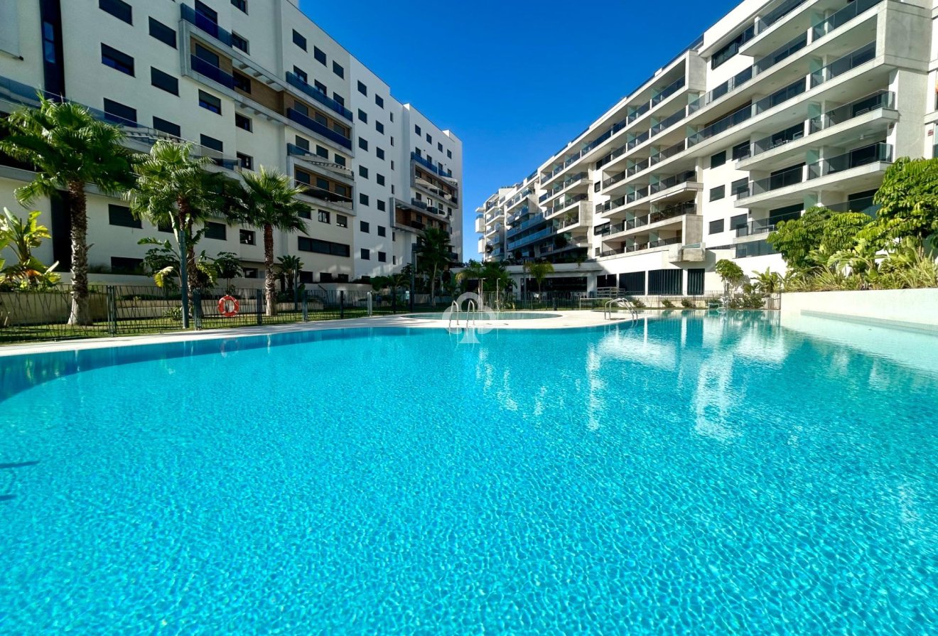 Wiederverkauf - Apartment -
Dehesa de campoamor - Campoamor