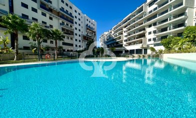 Wiederverkauf - Apartment -
Dehesa de campoamor - Campoamor