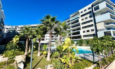 Wiederverkauf - Apartment -
Dehesa de campoamor - Campoamor