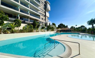 Wiederverkauf - Apartment -
Dehesa de campoamor - Campoamor