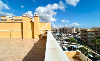 Reventa - Ático -
Orihuela Costa - Aguamarina