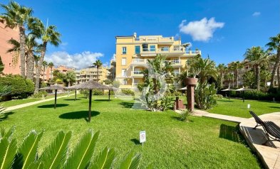 Reventa - Ático -
Orihuela Costa - Aguamarina