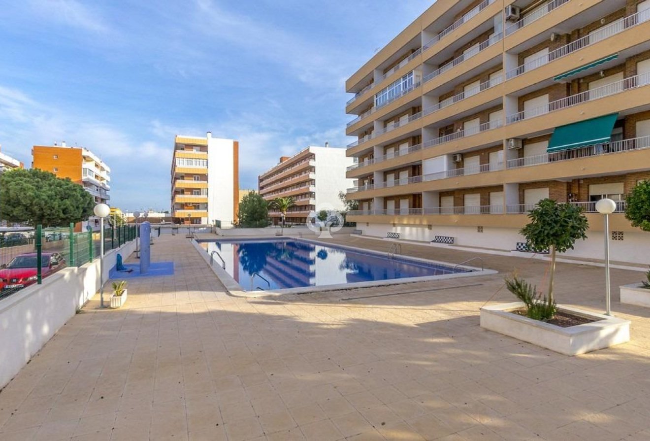 Reventa - Apartment -
Torrevieja - Punta Prima