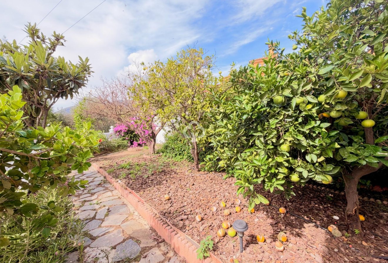 Long Term Rental - Semi-detached house -
Benalmádena - Arroyo de la miel