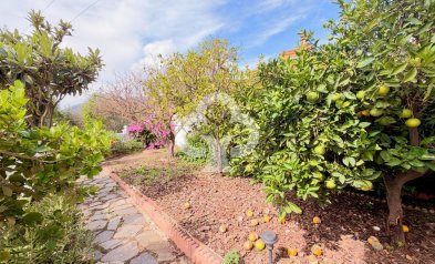 Long Term Rental - Semi-detached house -
Benalmádena - Arroyo de la miel