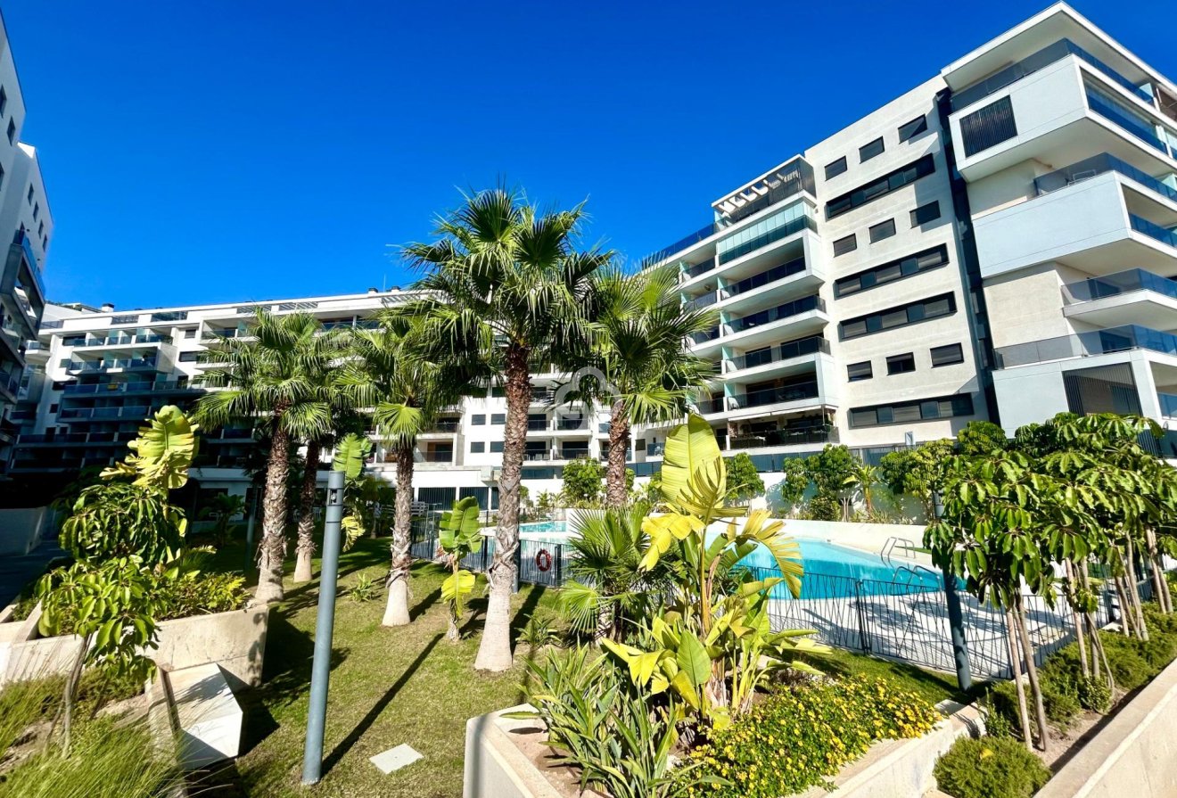 Jälleenmyynti - Apartment -
Dehesa de campoamor - Campoamor