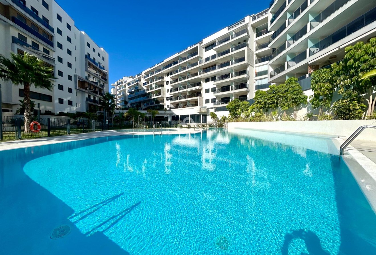 Jälleenmyynti - Apartment -
Dehesa de campoamor - Campoamor