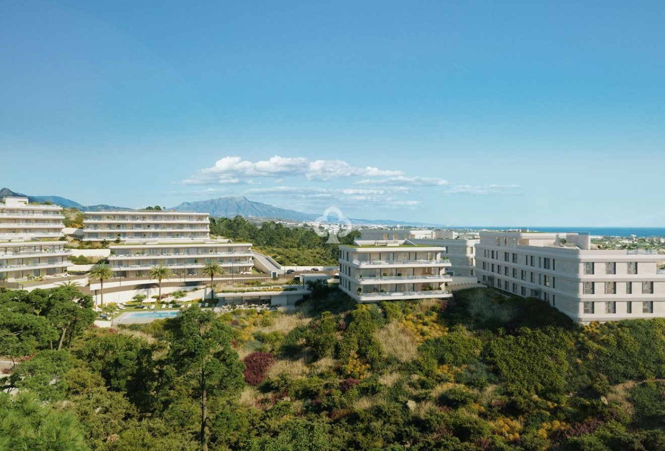 Neue Gebäude - Flats -
Estepona