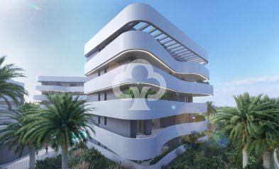 New Build - Penthouses -
Guardamar del Segura