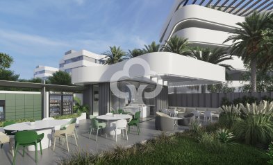 New Build - Penthouses -
Guardamar del Segura