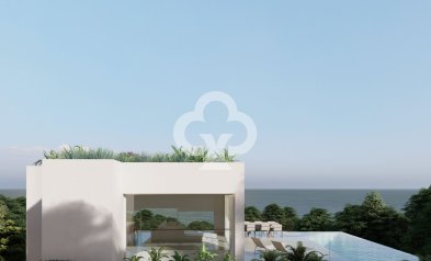 New Build - Detached houses -
Denia